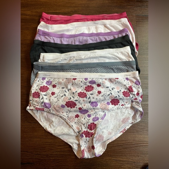 Hanes Other - Hanes Brief Panties (Never Used)